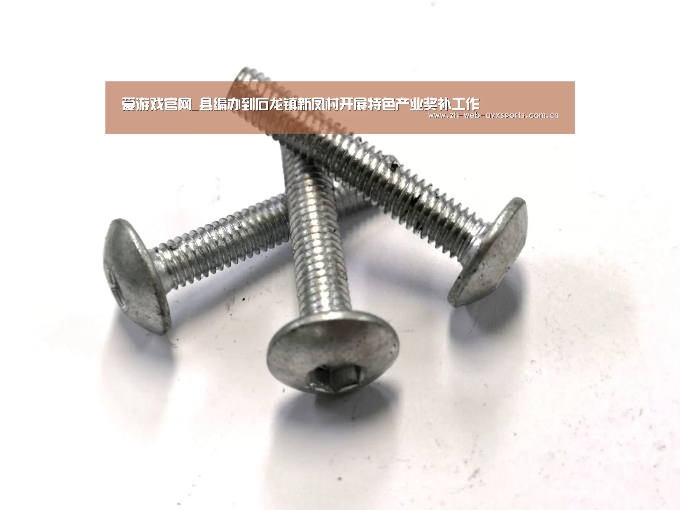 爱游戏官网_县编办到石龙镇新凤村开展特色产业奖补工作(图2) 爱游戏官网