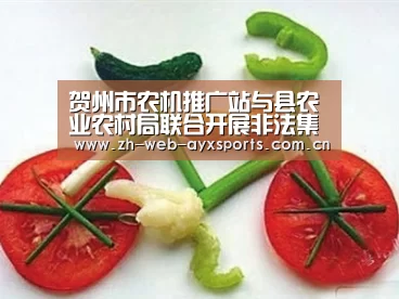 贺州市农机推广站与县农业农村局联合开展非法集资领域摸底排查活动“爱游戏官方”(图3) 爱游戏体育下载