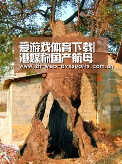 爱游戏体育下载|港媒称国产航母疑准备刷舷号海军官兵甲板列队演练(图2) 爱游戏官方