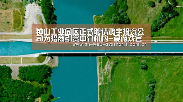 爱游戏官网